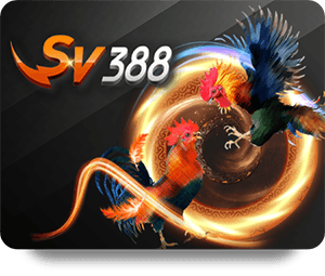 Live the High Life at SBOTOP Casino Royal